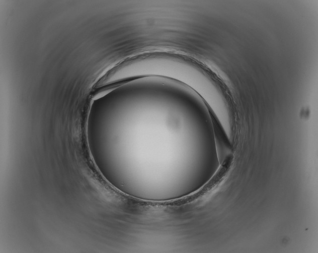 X0000091960969200709271343