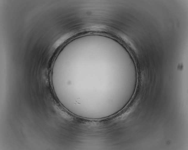 X0000091960970200709271343