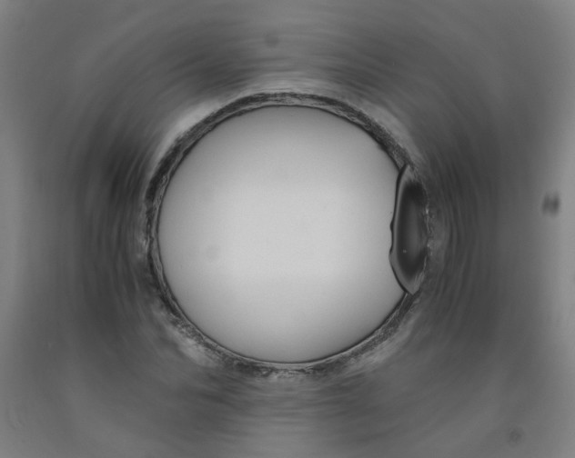 X0000091960974200709271343