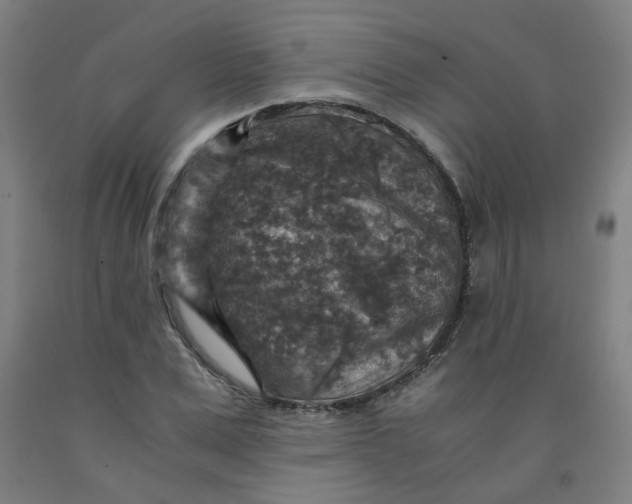 X0000091960975200709271343