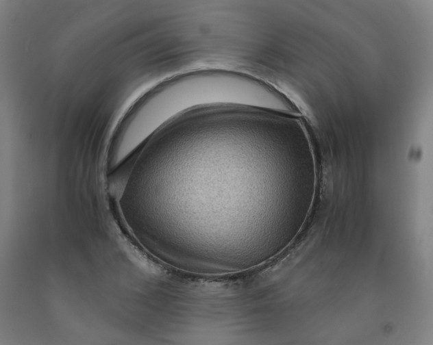 X0000091960976200709271343