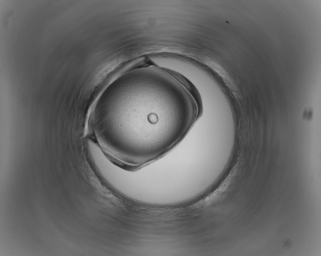 X0000091960977200709271343