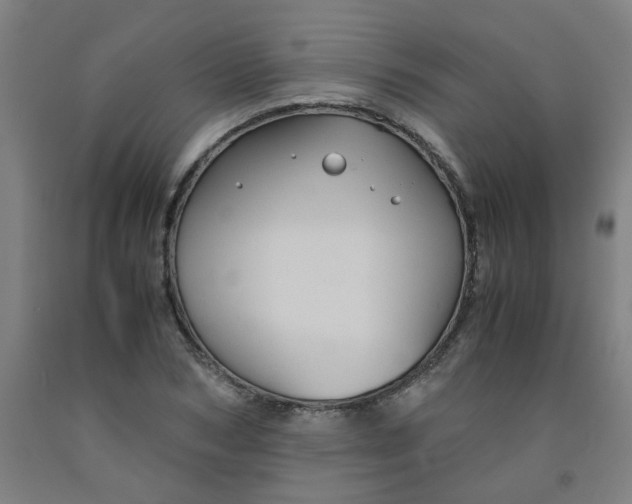 X0000091960978200709271343