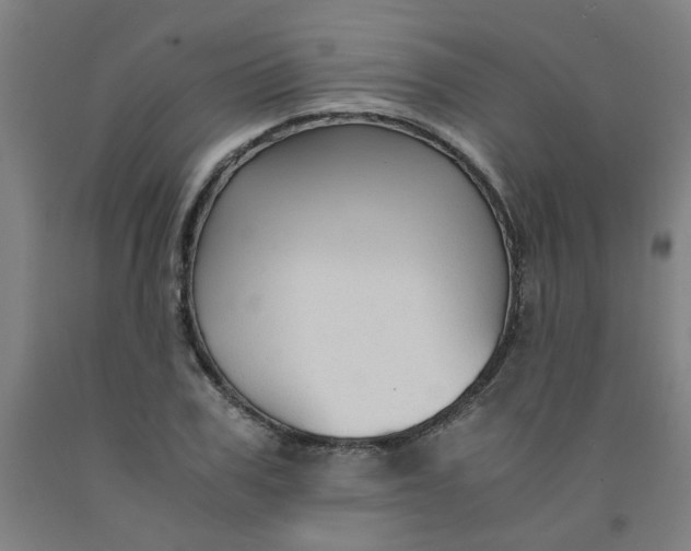 X0000091960979200709271343