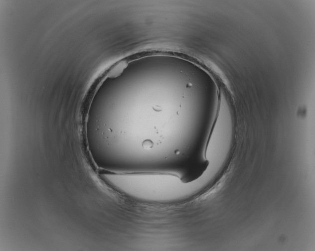 X0000091960981200709271343