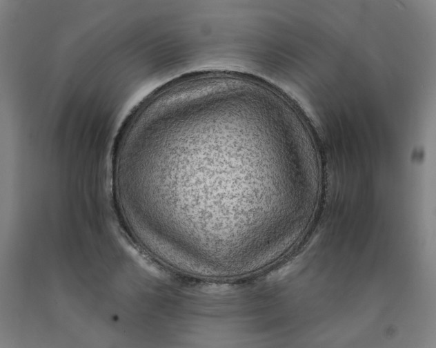 X0000091960982200709271343