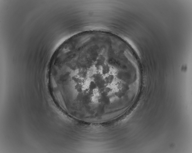 X0000091960983200709271342