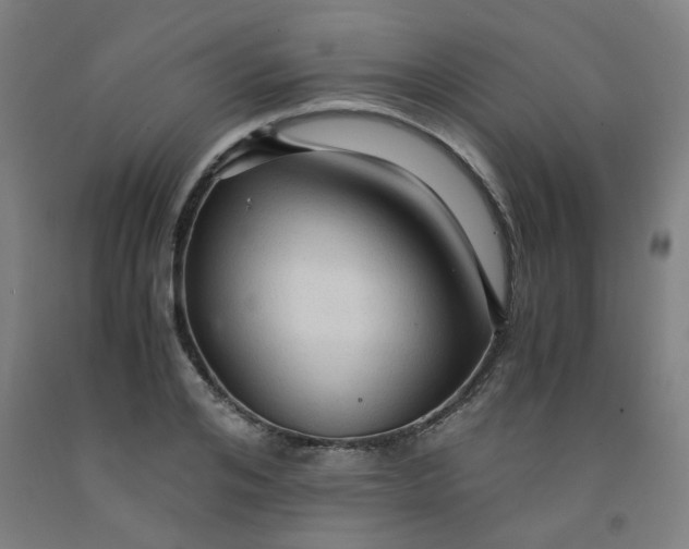 X0000091960984200709271342