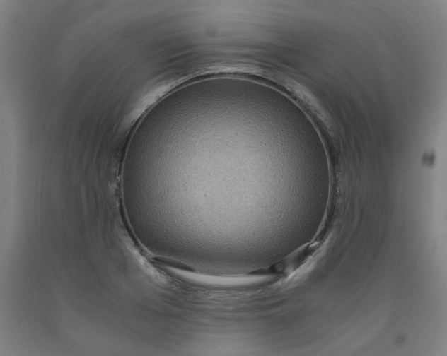 X0000091960985200709271342