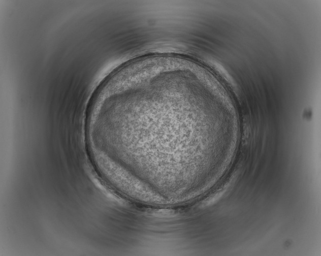 X0000091960986200709271342