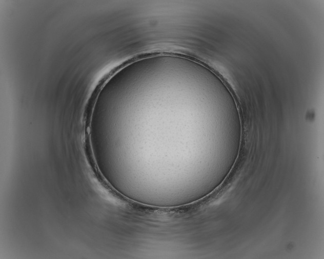 X0000091960987200709271342