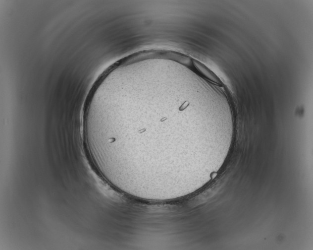 X0000091960988200709271342