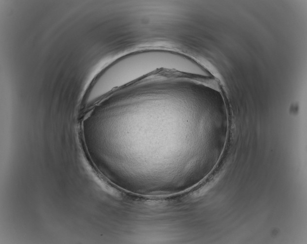 X0000091960989200709271342