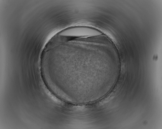 X0000091960990200709271342