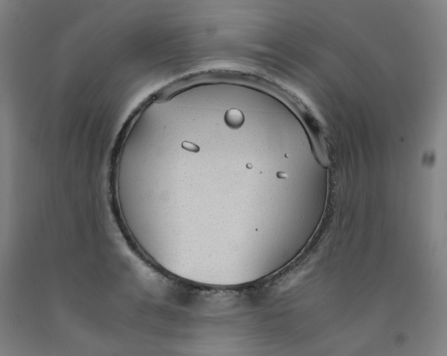 X0000091960991200709271342