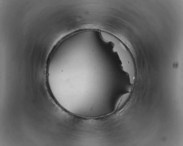 X0000091960992200709271342