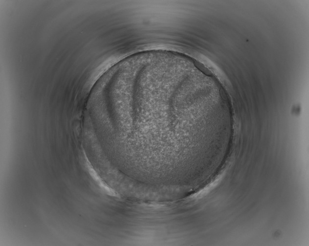 X0000091960993200709271342