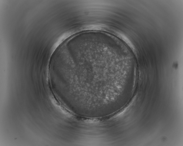 X0000091960994200709271342