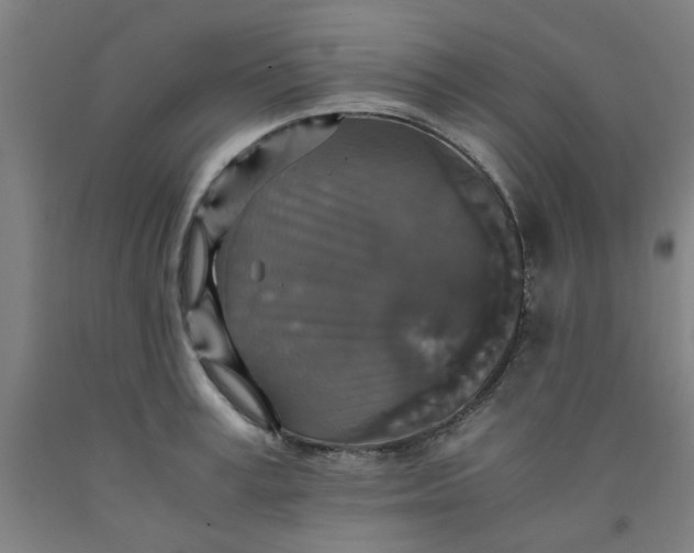 X0000091960995200709271342