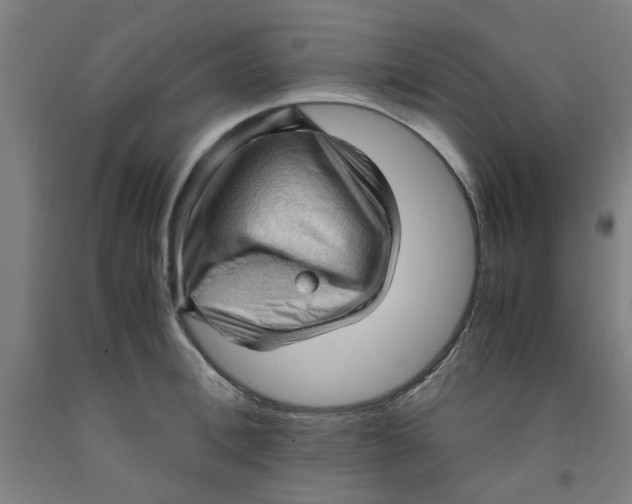 X0000091960996200709271342