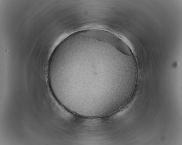 X0000091960997200709271342