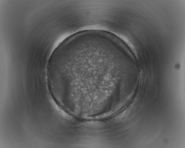 X0000091960998200709271342