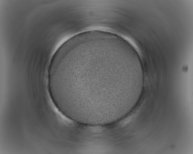 X0000091960999200709271342