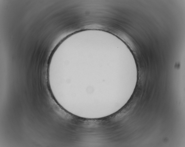 X0000091961000200709271342