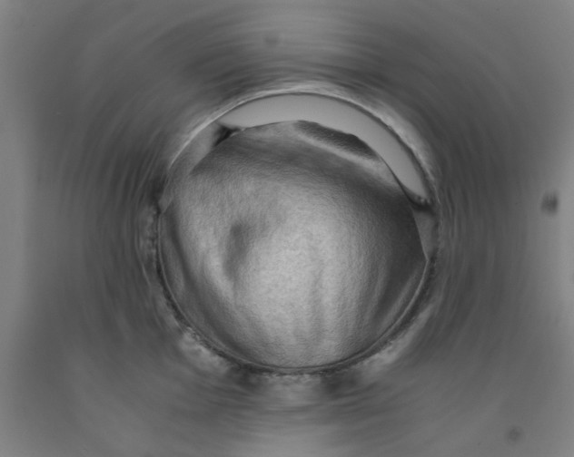 X0000091961001200709271342