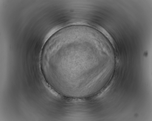 X0000091961002200709271342