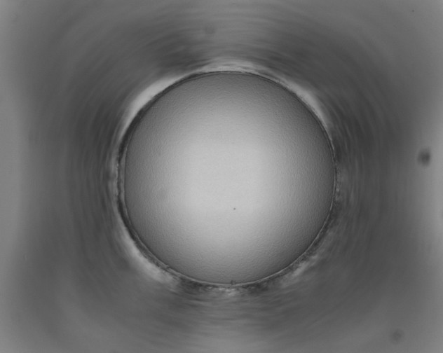 X0000091961003200709271342