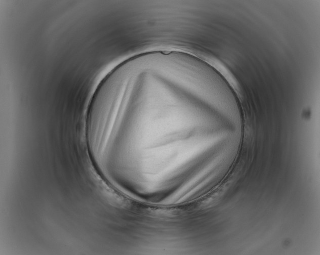 X0000091961004200709271342