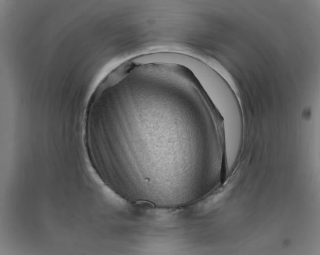 X0000091961005200709271342