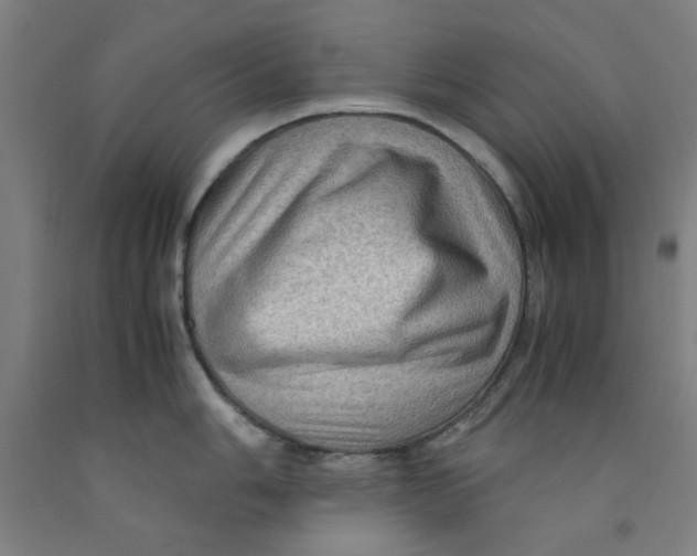 X0000091961006200709271342