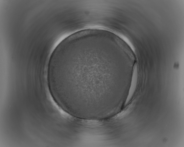 X0000091961007200709271342