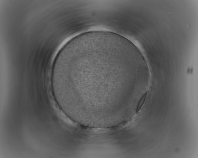 X0000091961008200709271342