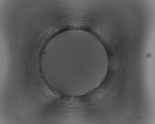 X0000091961009200709271342