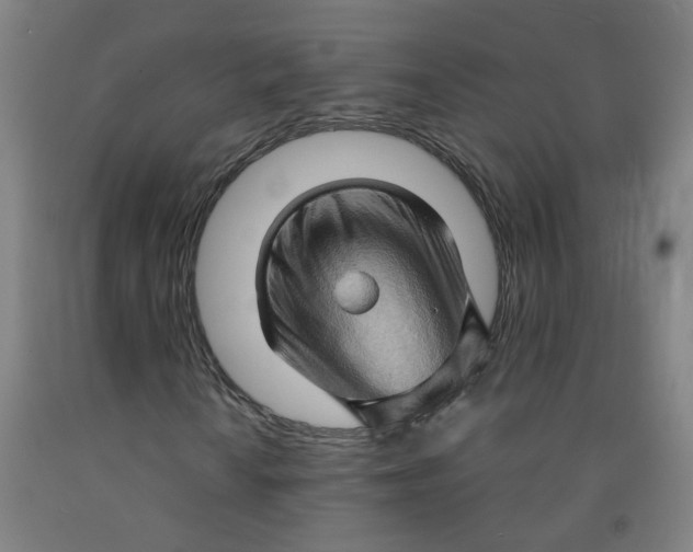 X0000091961010200709271342