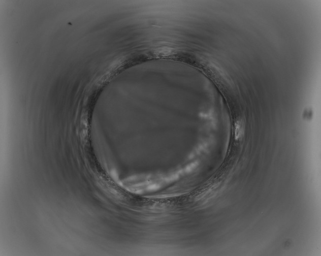 X0000091961011200709271342