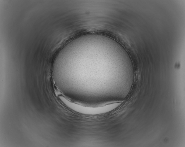 X0000091961012200709271342