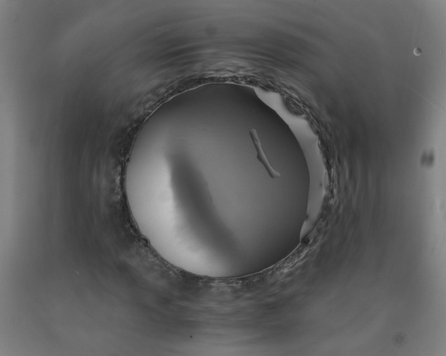 X0000091961013200709271342