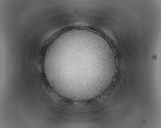 X0000091961015200709271342