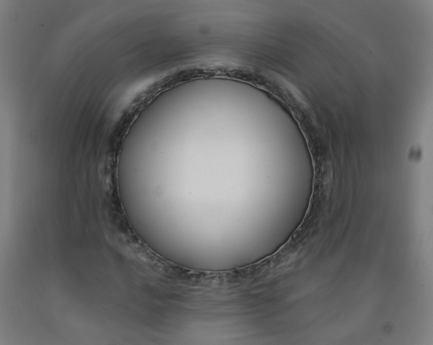 X0000091961016200709271342