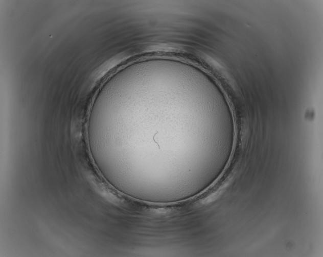 X0000091961017200709271342