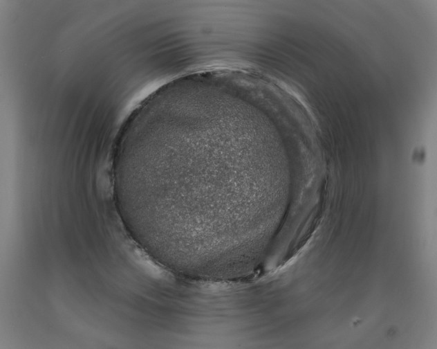 X0000091961018200709271342