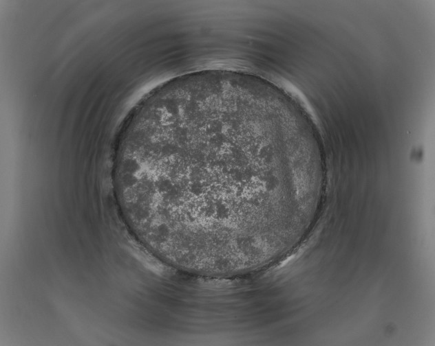 X0000091961019200709271342