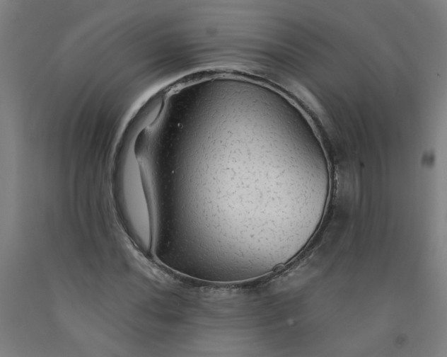 X0000091961020200709271342