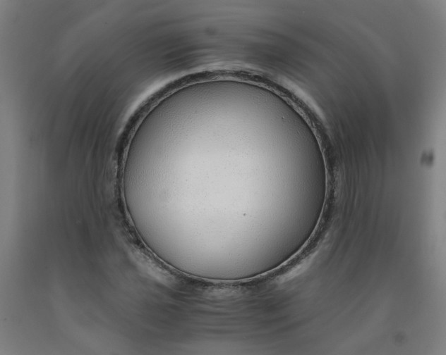 X0000091961021200709271342