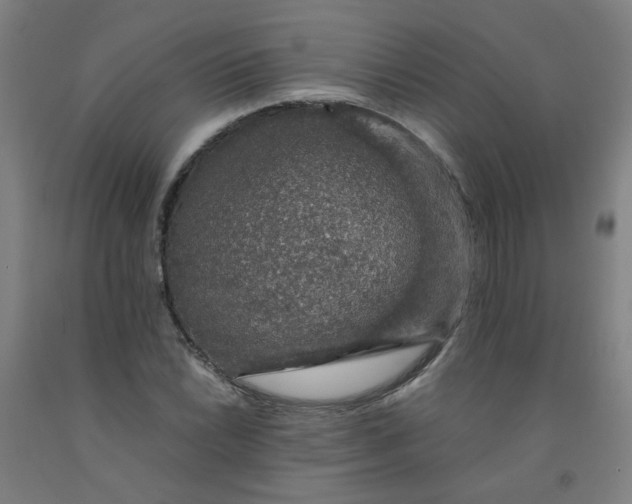 X0000091961022200709271342