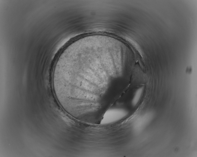 X0000091961023200709271342